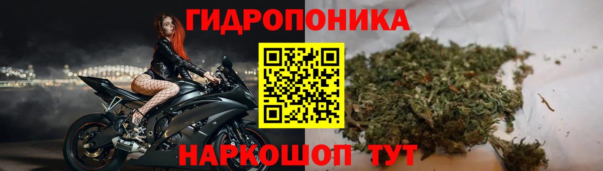 Конопля SATIVA & INDICA Крымск